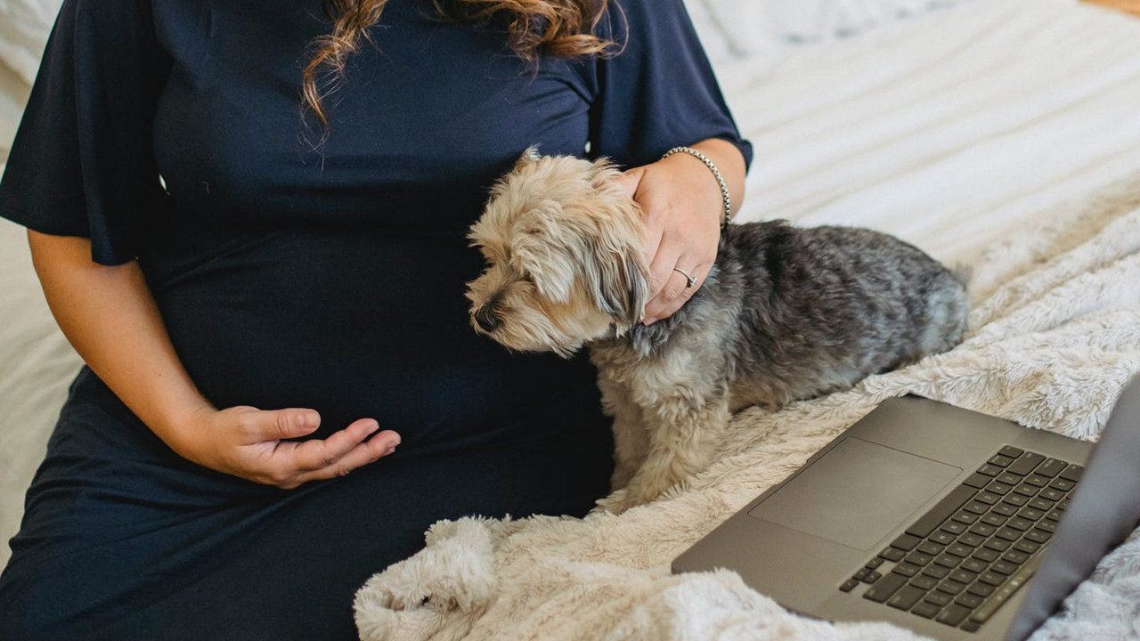 Facklig seger – gravida under pandemin kan ha rätt till ersättning